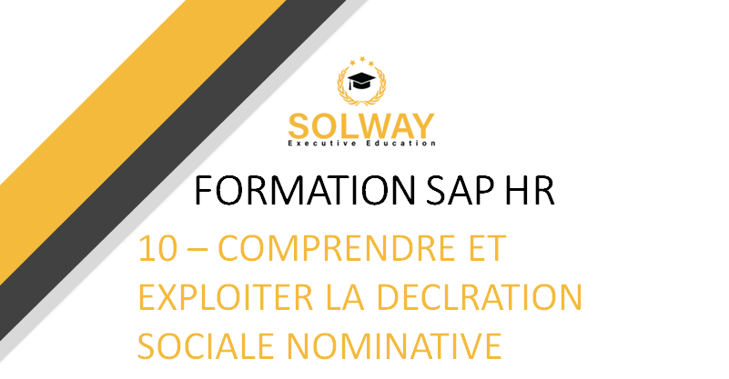 SAP HR - Comprendre et exploiter la DSN